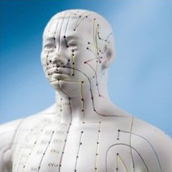 Modelos de Acupuntura